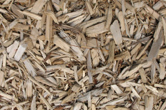 biomass boilers Stonesby